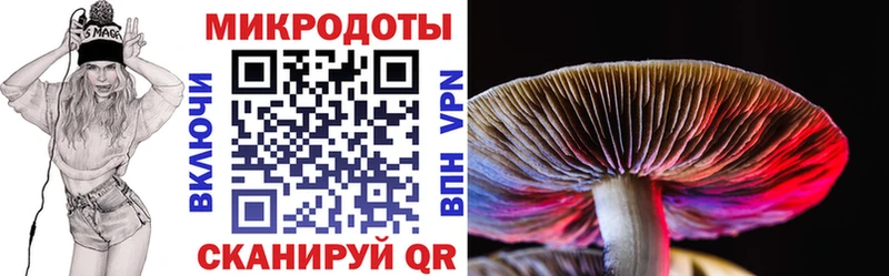 Псилоцибиновые грибы ЛСД Тайшет