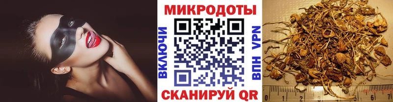 Псилоцибиновые грибы GOLDEN TEACHER  блэк спрут зеркало  Тайшет  купить  