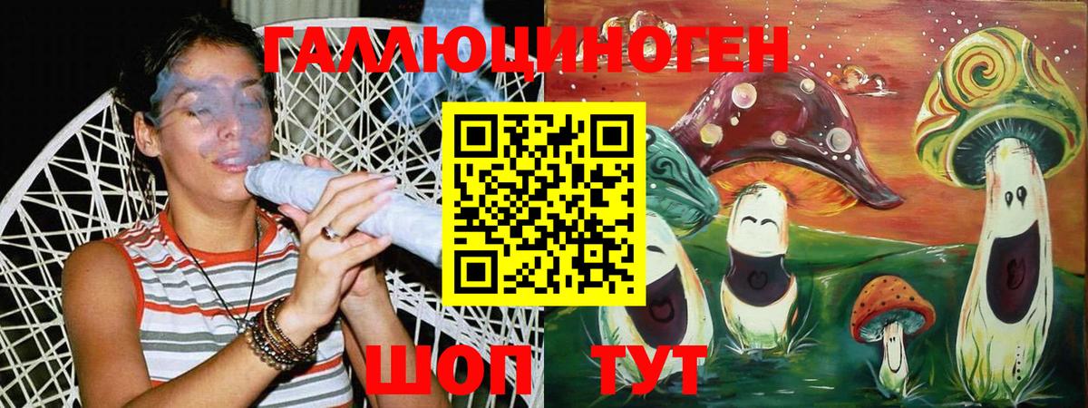 Псилоцибиновые грибы прущие грибы  где купить наркотик  Тайшет 