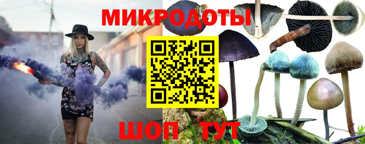 Псилоцибиновые грибы Magic Shrooms Тайшет