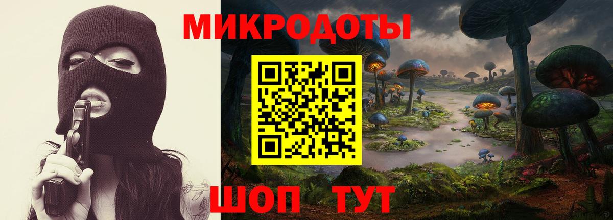 где купить наркоту  Псилоцибиновые грибы Magic Shrooms  Вход с VPN  Тайшет 